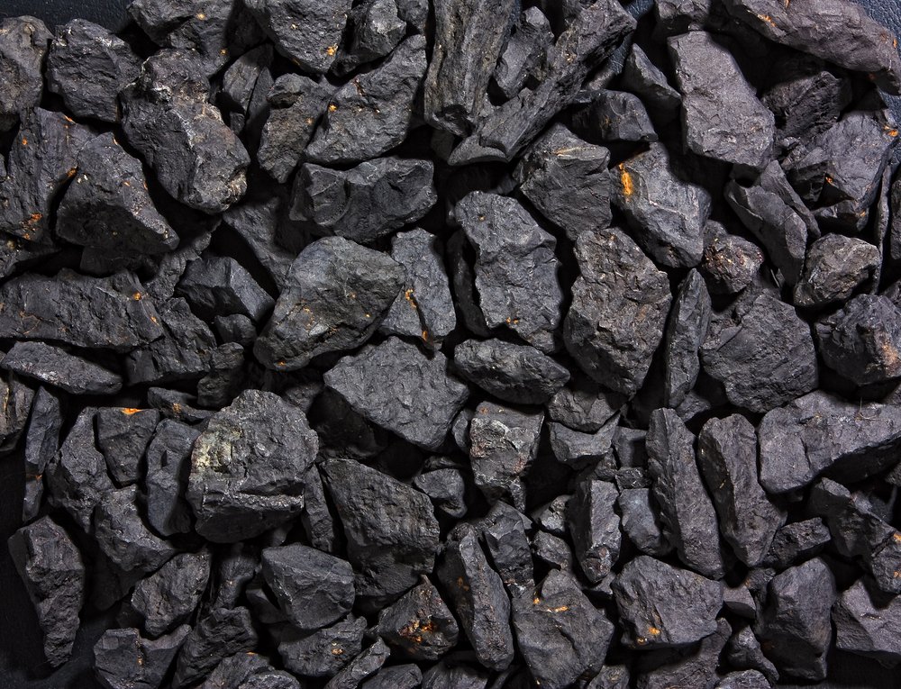 carbon vegetal vs briquetas
