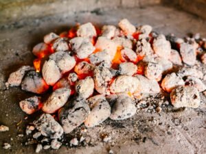 carbones vegetales vs briquetas