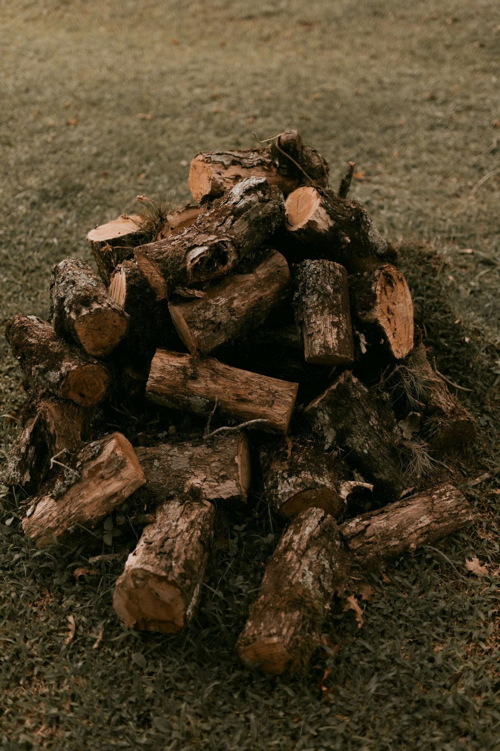 Cómo elegir la mejor leña para chimeneas y estufas