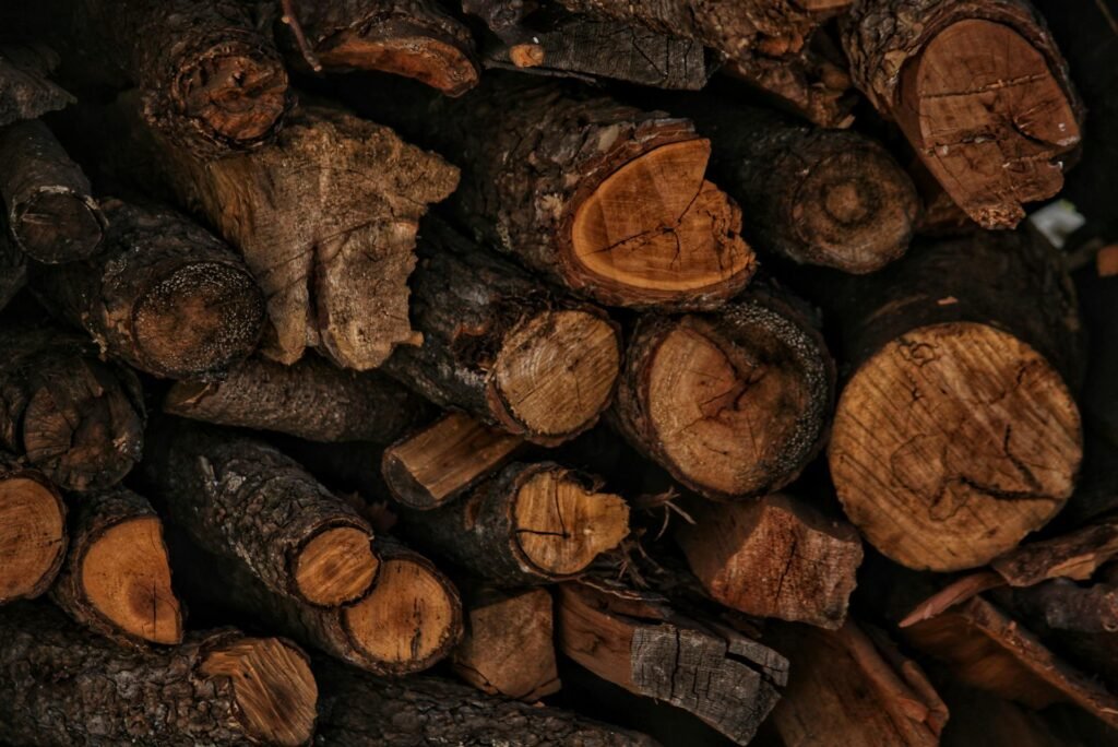 elegir la mejor leña para chimeneas y estufas