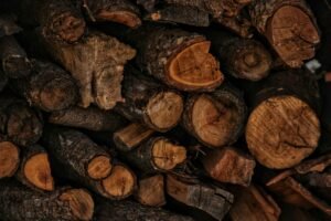 elegir la mejor leña para chimeneas y estufas