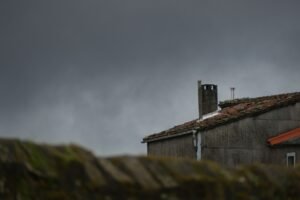 Cuál mejor leña para una chimenea